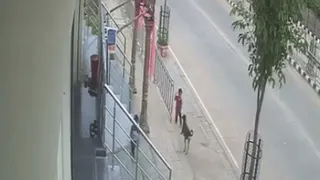 Viral Video Of Street Dog’s Sudden Attack On 18-Month-Old Telangana Boy Divides Internet